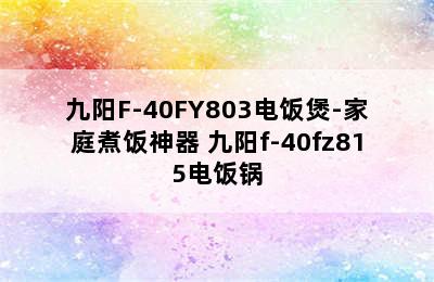 九阳F-40FY803电饭煲-家庭煮饭神器 九阳f-40fz815电饭锅